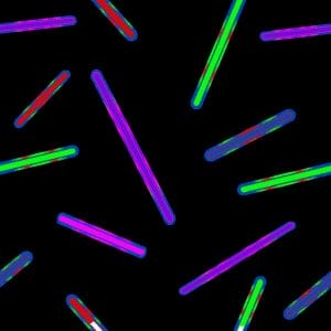 Glow Stick Fun