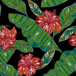 Hawaiian Tropics