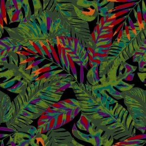 The Tropics