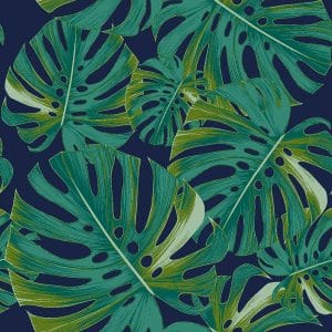 Tropics
